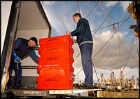 Loading our produce